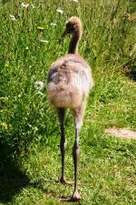 Black Yellow Black (red green) - 12th June 2014 Black Yellow Black (red green)- 12th June 2014